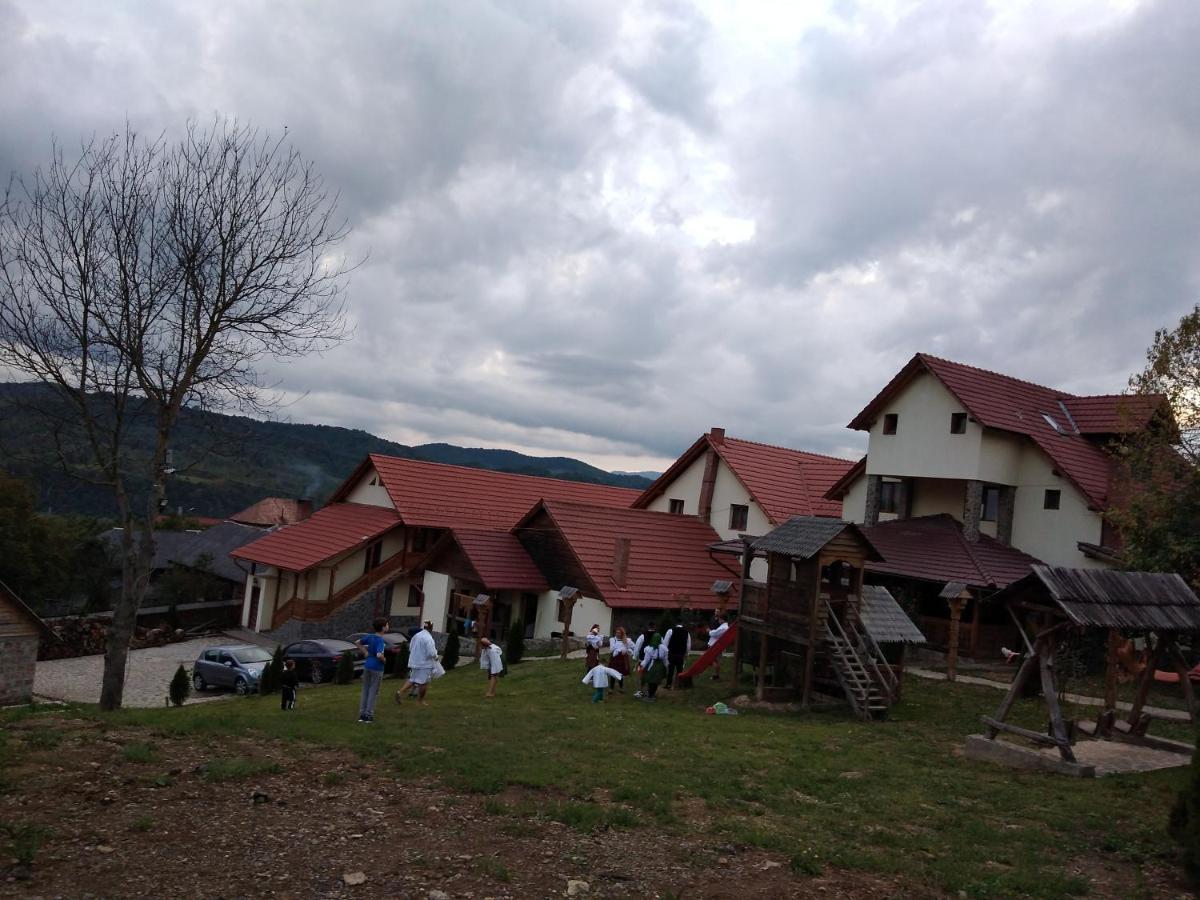 Pensiunea Valea Branzei Nanesti Ngoại thất bức ảnh
