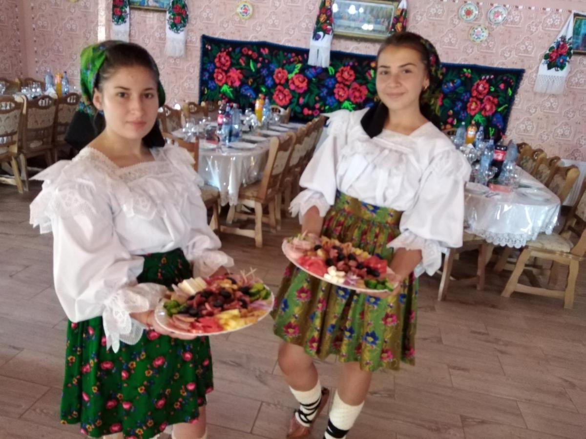 Pensiunea Valea Branzei Nanesti Ngoại thất bức ảnh