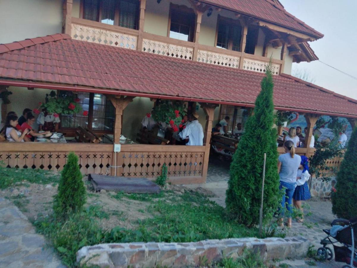 Pensiunea Valea Branzei Nanesti Ngoại thất bức ảnh